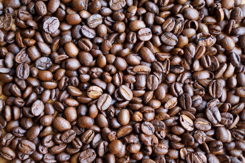 Fresh aroma the variety of coffee