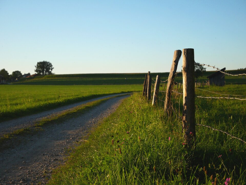 Nature landscape green