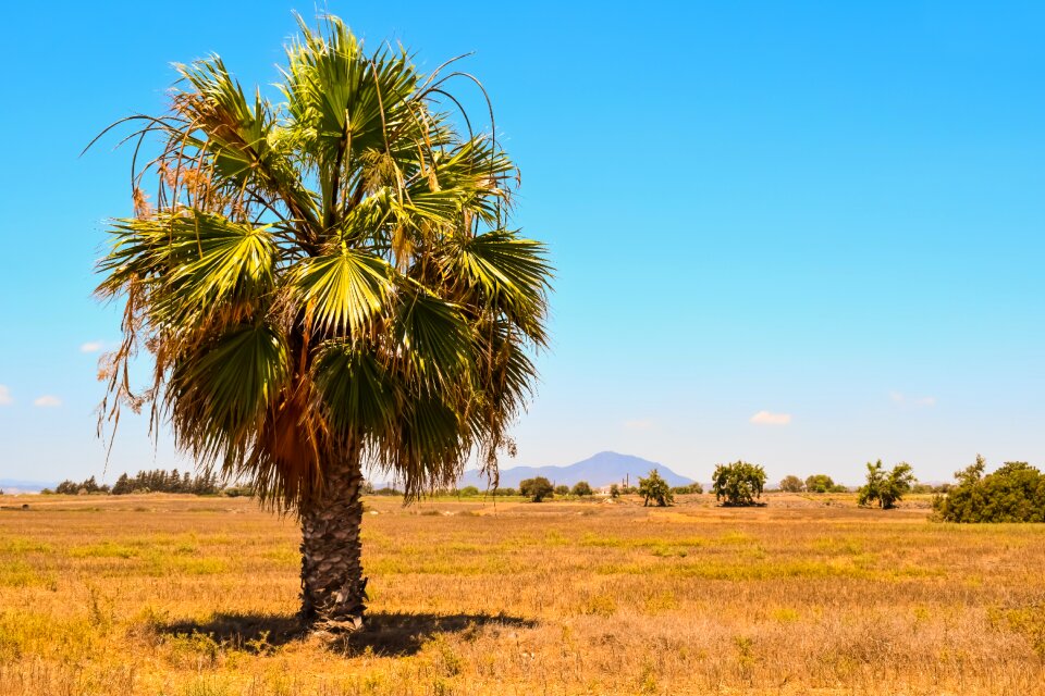 Nature island countryside