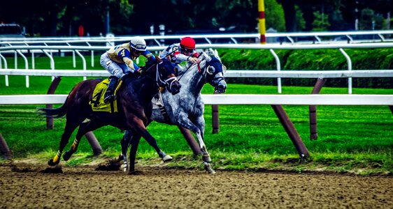 Horse racing sports track