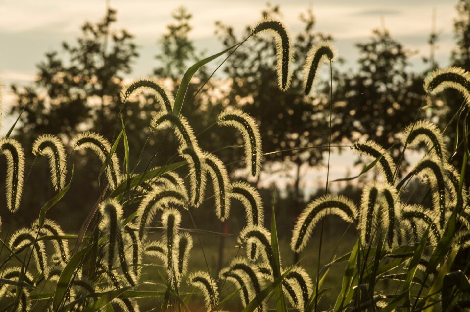 Nature sunset weather