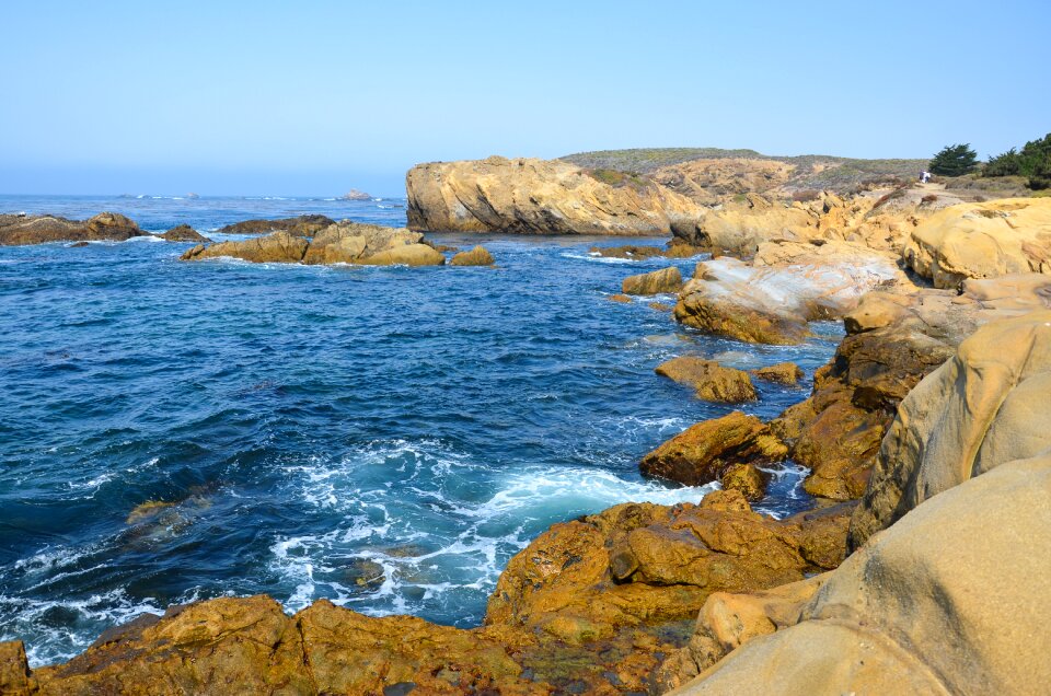 West coast point lobos landscape