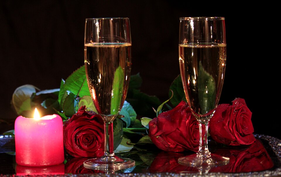 Evening roses temptation