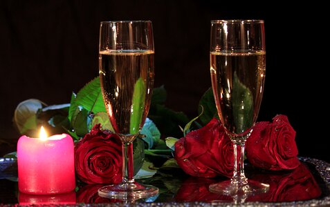Evening roses temptation