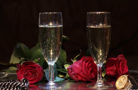 Roses alcohol temptation