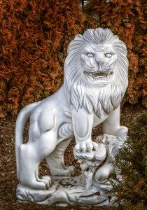 Lion big cat landungsbrücken