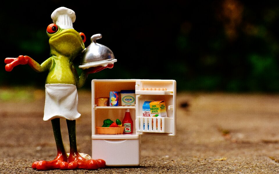 Refrigerator supplies funny