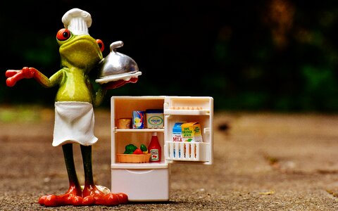 Refrigerator supplies funny