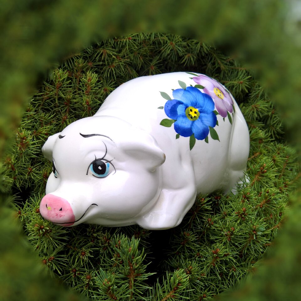 Ceramic piggy bank funny