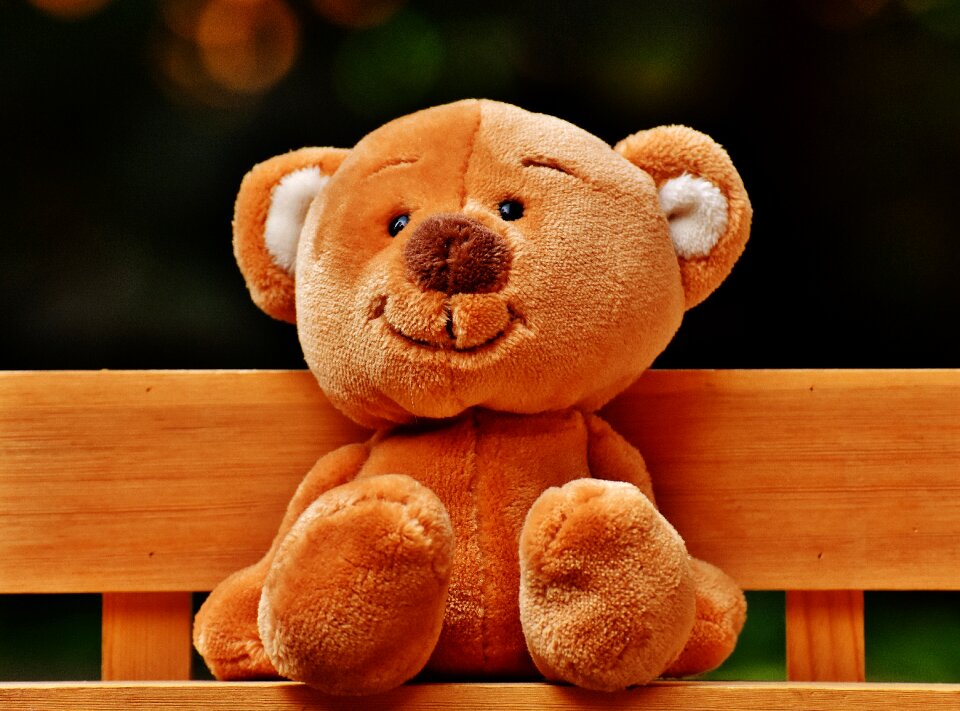 Teddy bear bear fun