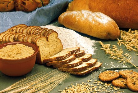 Barley wheat flour photo