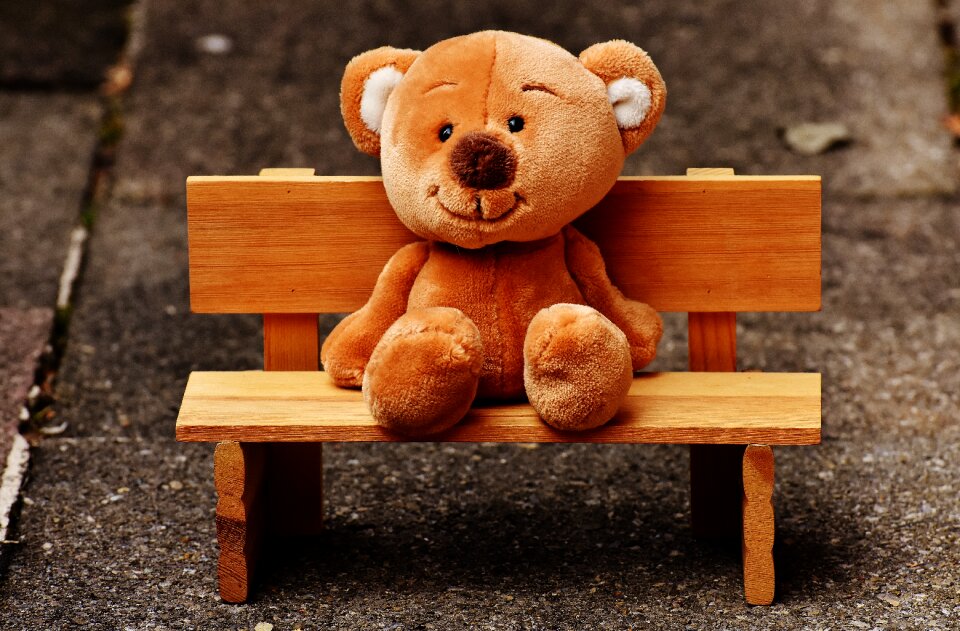 Teddy bear bear fun