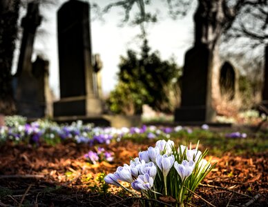 Cemetery religion grave