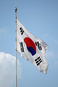 Wheat fly flag the country's