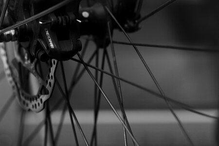 Wheel bicycle tire photo