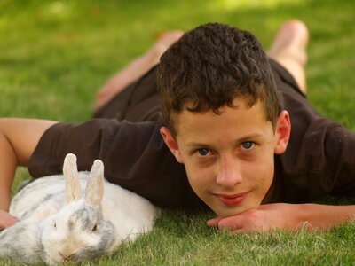 Dwarf rabbit nager long eared photo