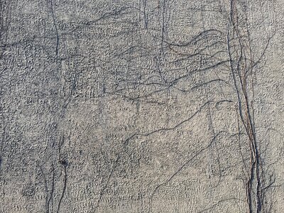 Texture background white