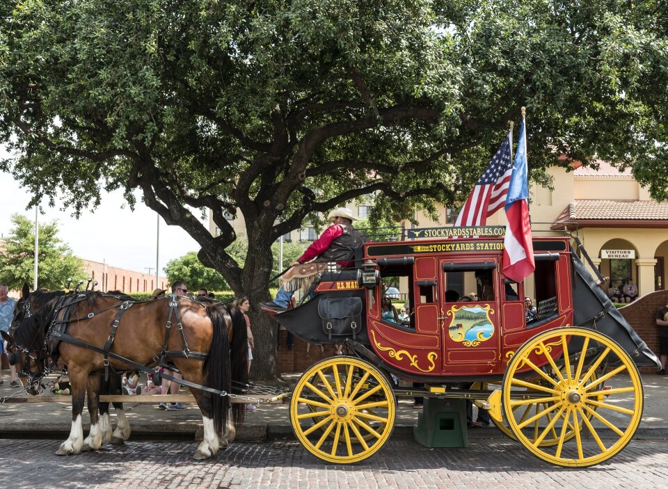 Cowboys team tourists