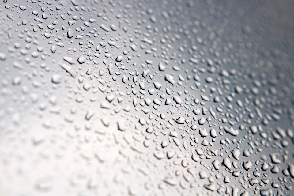 Rain fresh gray rain