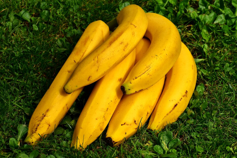 Healthy yellow ripe