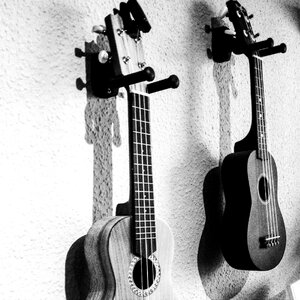 Musical instrument grey instrument