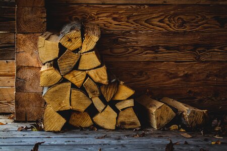 Stack growing stock log photo