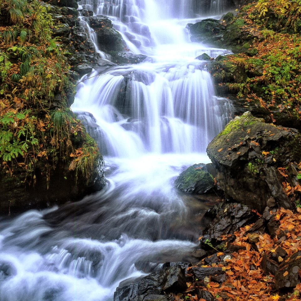 Shirakami-sanchi world natural heritage japan