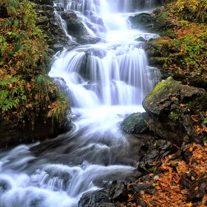 Shirakami-sanchi world natural heritage japan
