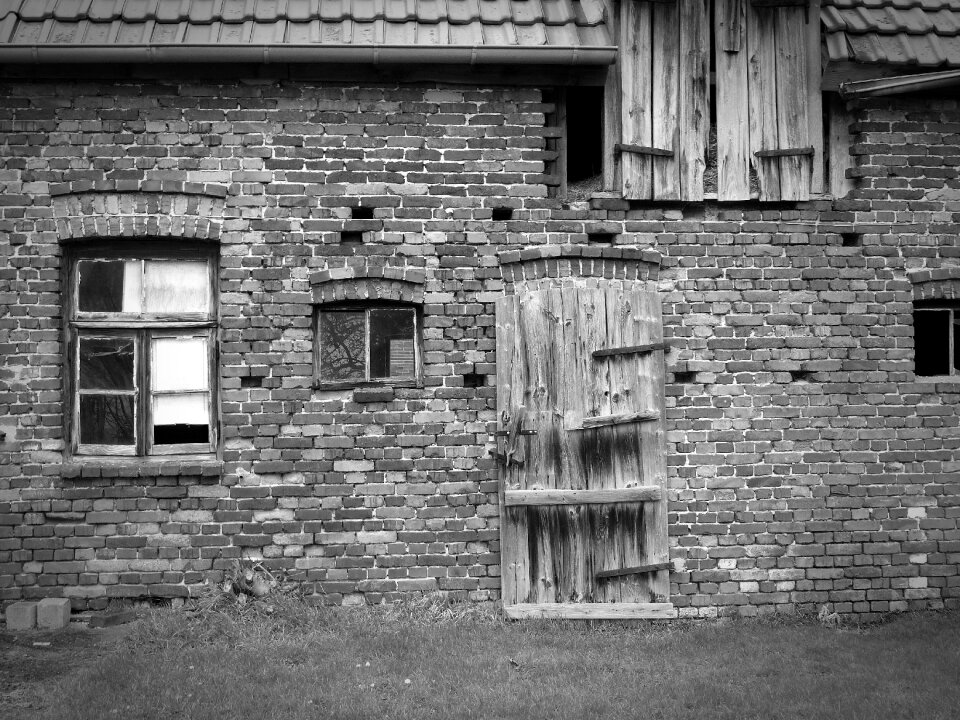 Decay weathered scale