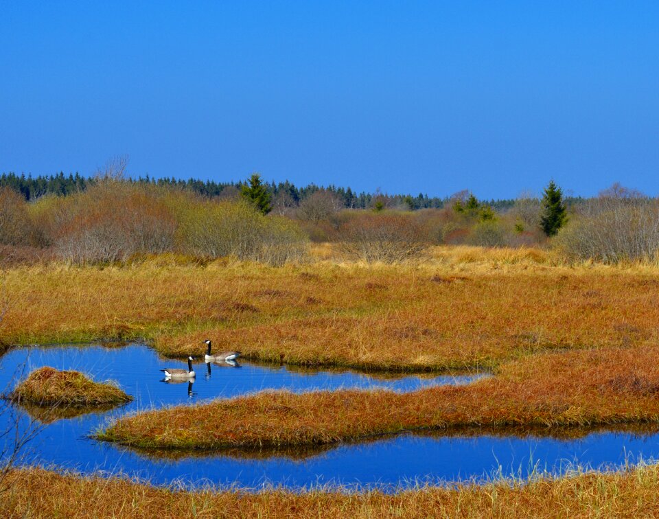 High venn nature conservation nature reserve