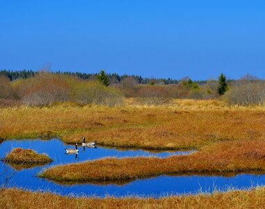 High venn nature conservation nature reserve