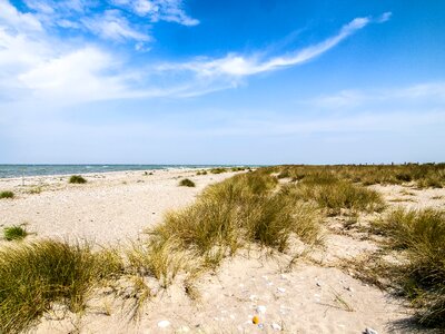Nature baltic sea beach