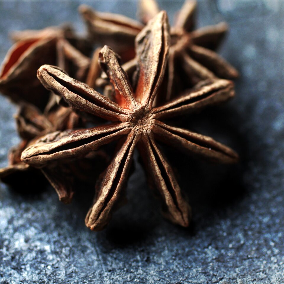 Kitchen anise star anise photo