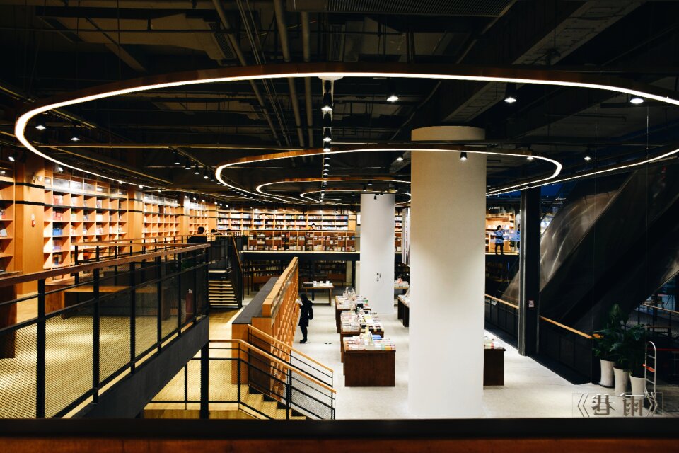 Library books the study