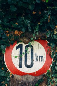 Information boards road shield