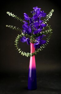 Bright plant purple flower