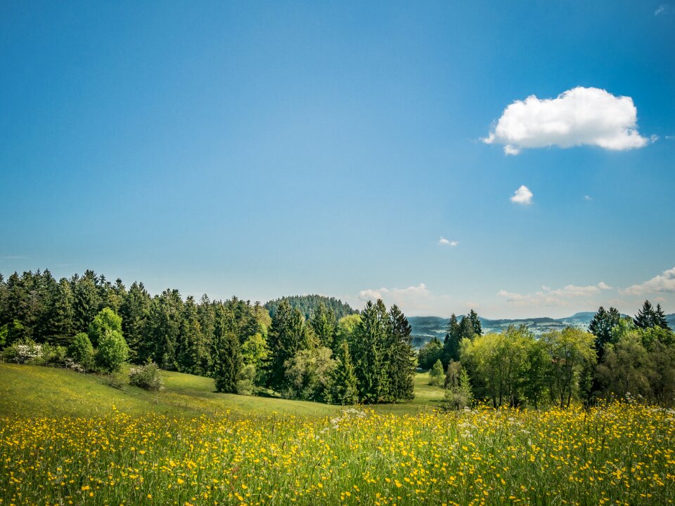 Clouds sky spring