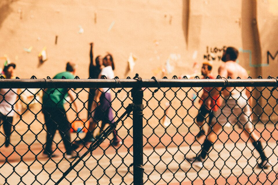 Young chain-link fence mesh wire