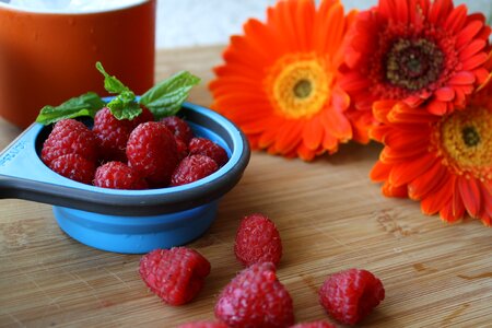 Food fruit fresh