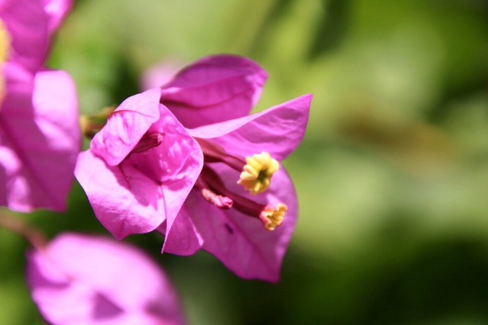 Nature beautiful colorful