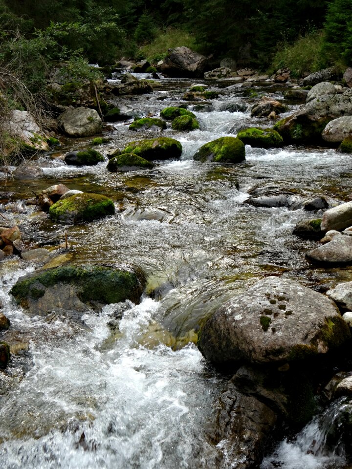Torrent landscape nature