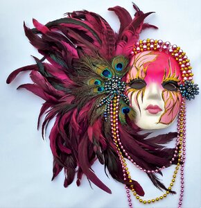 Colorful feathers mardi gras mask