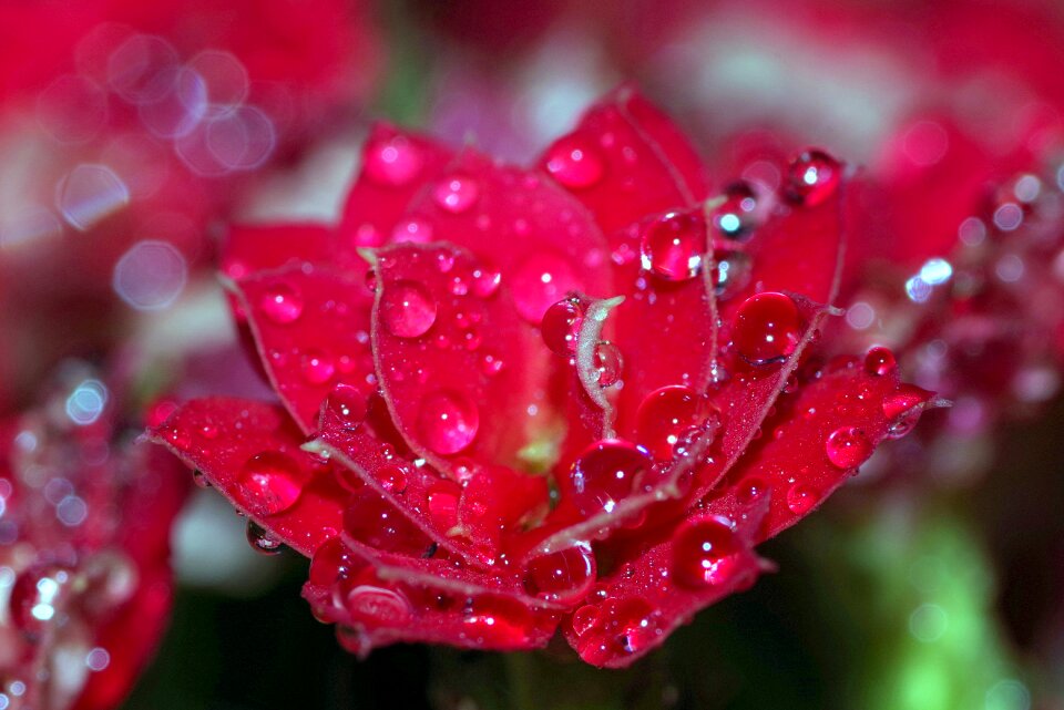 Raspberry red water