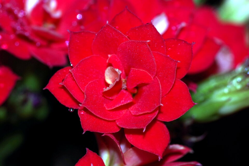 Raspberry red water