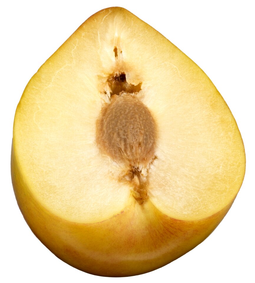 Sliced plum fruit with stone tasty