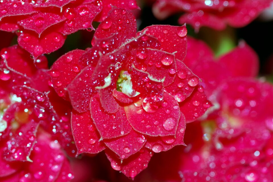 Raspberry red water