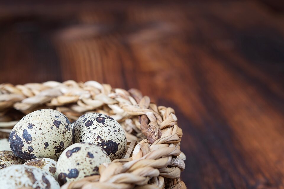 Natural product small eggs close up