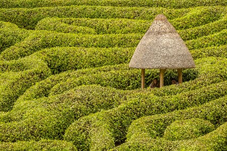 Hut garden cornwall