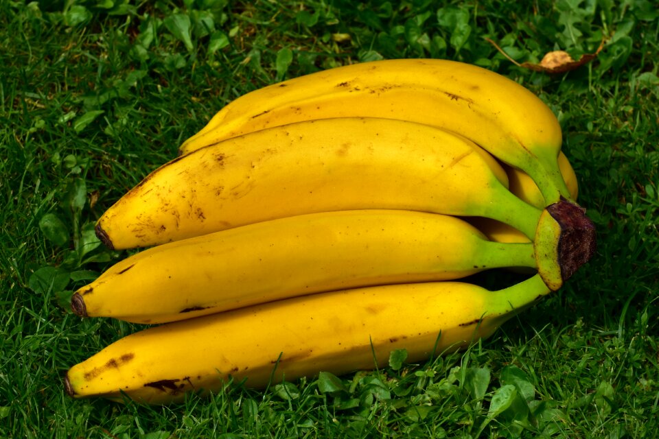 Healthy yellow banana peel