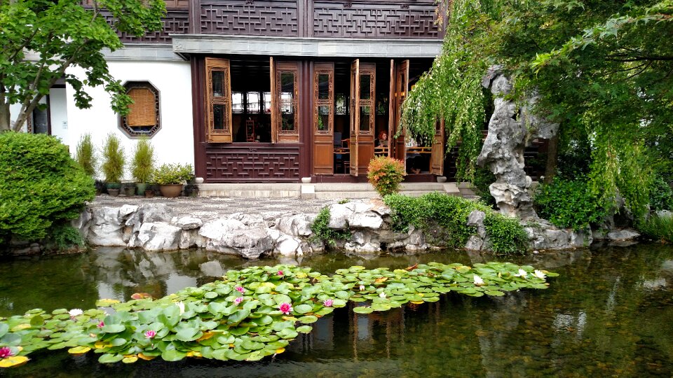 Water lilies zen garden asian garden